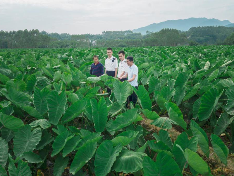 基地環(huán)境