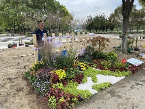 2020年 泰园杯 江苏省园林绿化行业花卉工职业技能竞赛参赛作品来啦