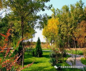 广宗县规划城管局 五措并举 实施园林绿化精品工程打造省级文明城市